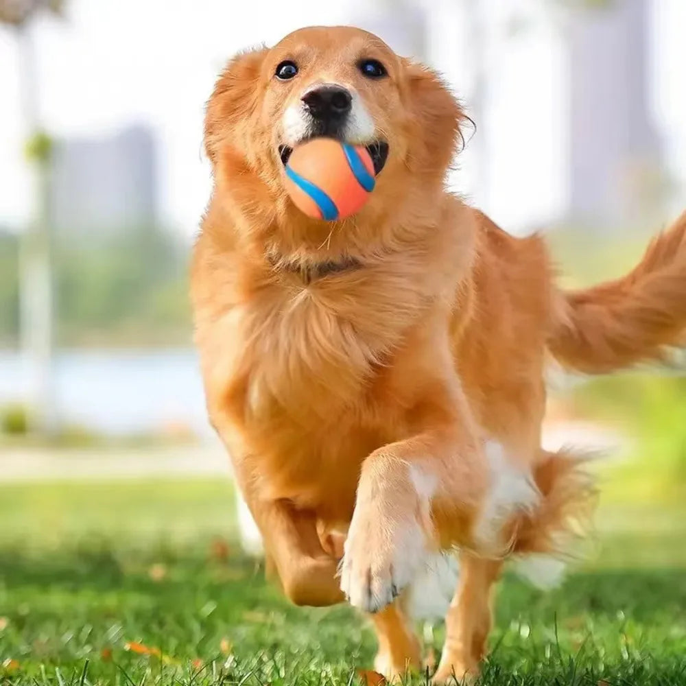 Dog Toy Ball