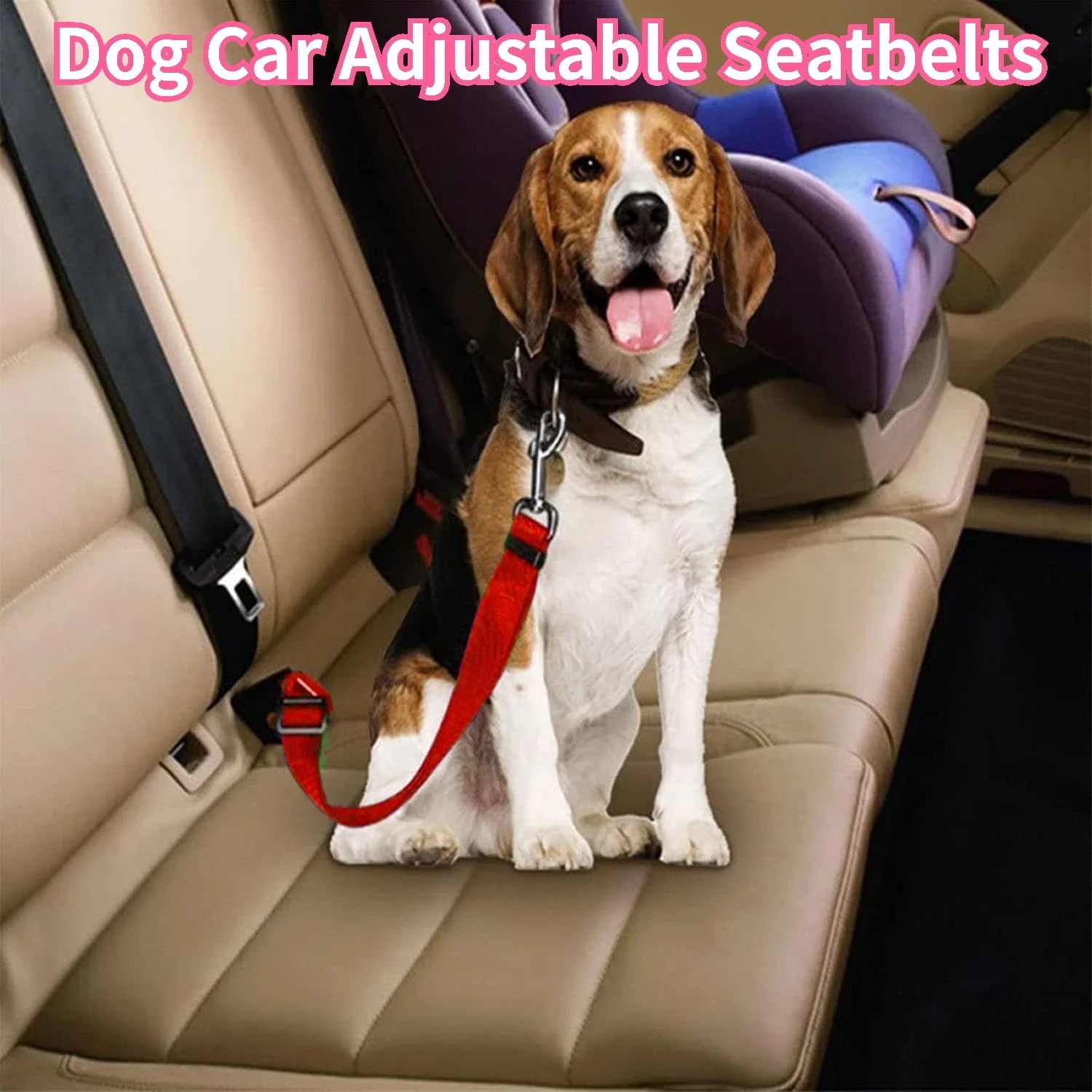 Dog Seat Belt