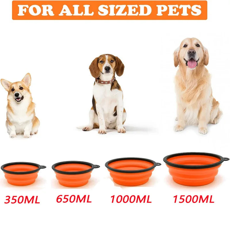 Portable Pet Food & Water Bowl