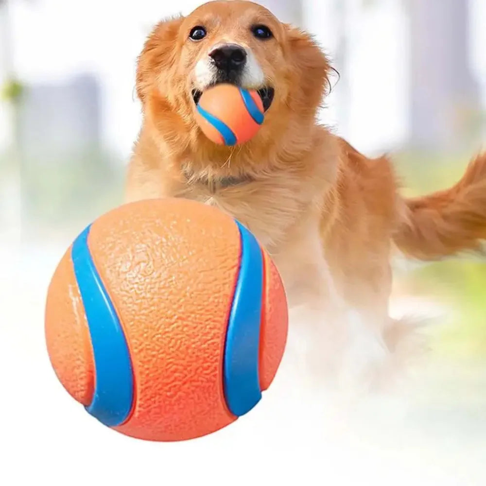 Dog Toy Ball
